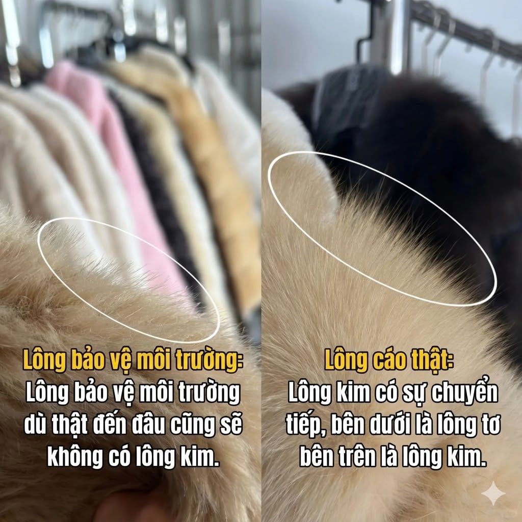 Hướng dẫn cách chọn mua và phân biệt áo lông thú thật - giả