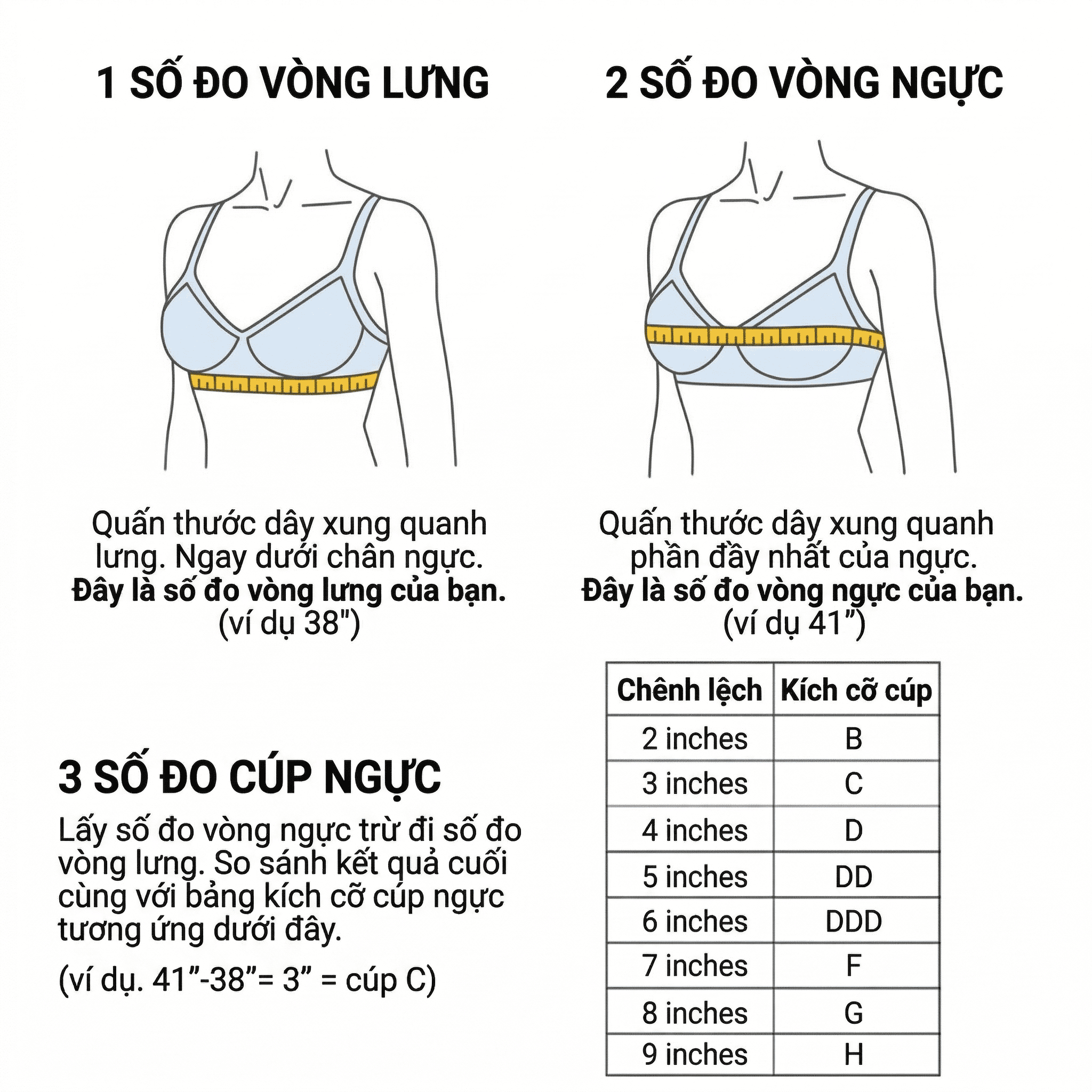 bảng size áo ngực chuẩn