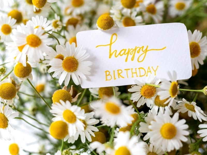 cap chúc mừng sinh nhật