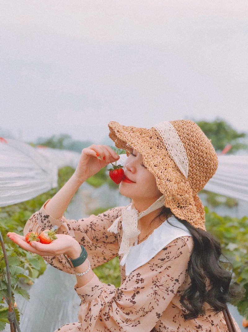 Đầm hoa nhí phong cách vintage, nhẹ nhàng