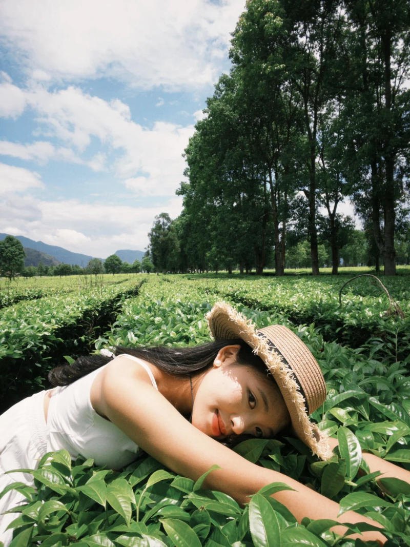 11. Dáng nằm mơ màng trên thảm chè