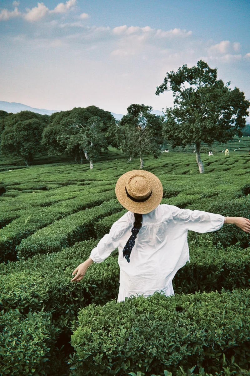 14. Dáng bước đi tự do giữa đồi chè