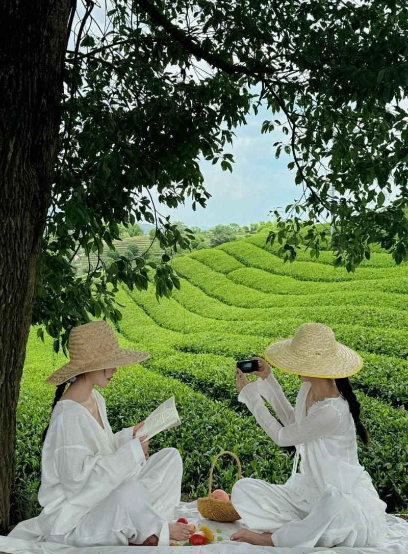 18. Concept picnic đôi bạn thân