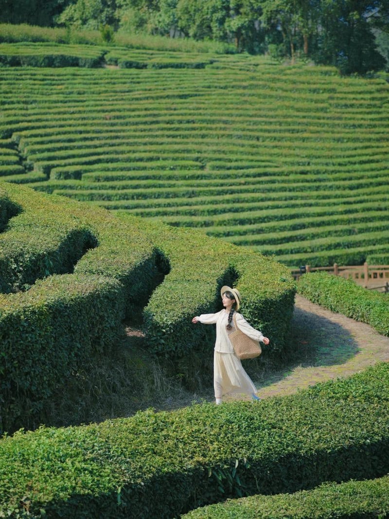 21. Dáng bước đi trên con đường cong