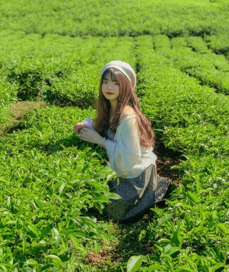 27. Tương tác tự nhiên với búp chè xanh