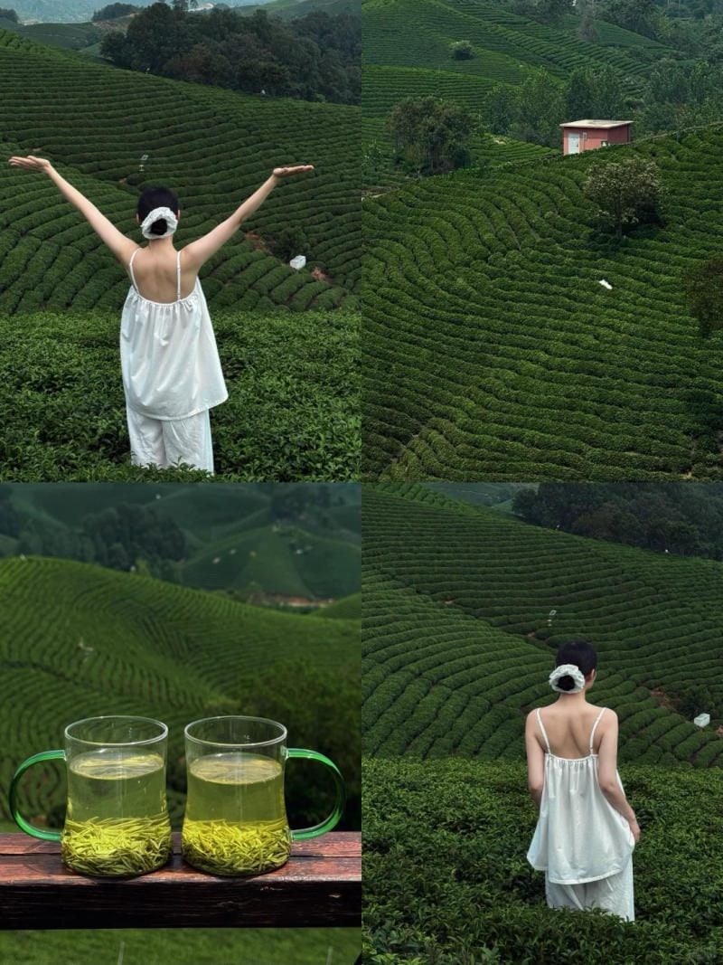 Thời điểm vàng để có bức ảnh đồi chè để đời