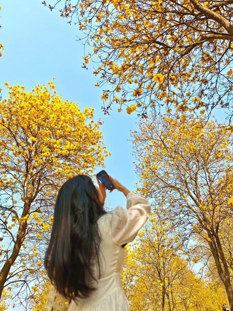 6. Dáng khách du lịch ngắm cảnh