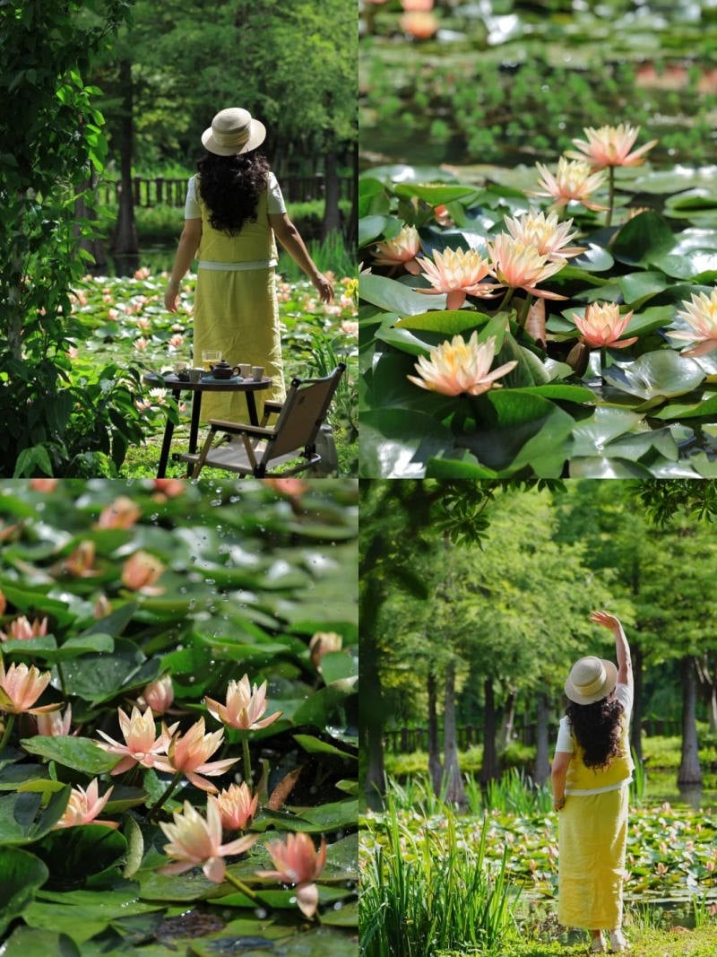 Phụ kiện đi kèm