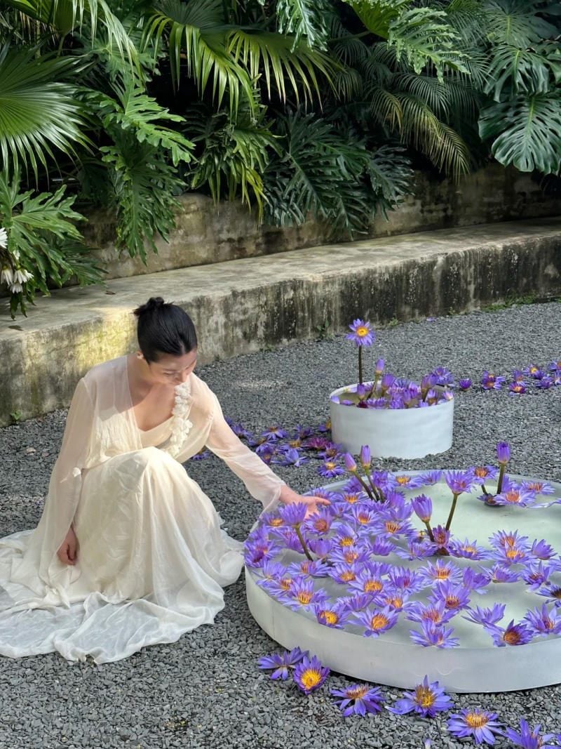 chụp ảnh với hoa súng