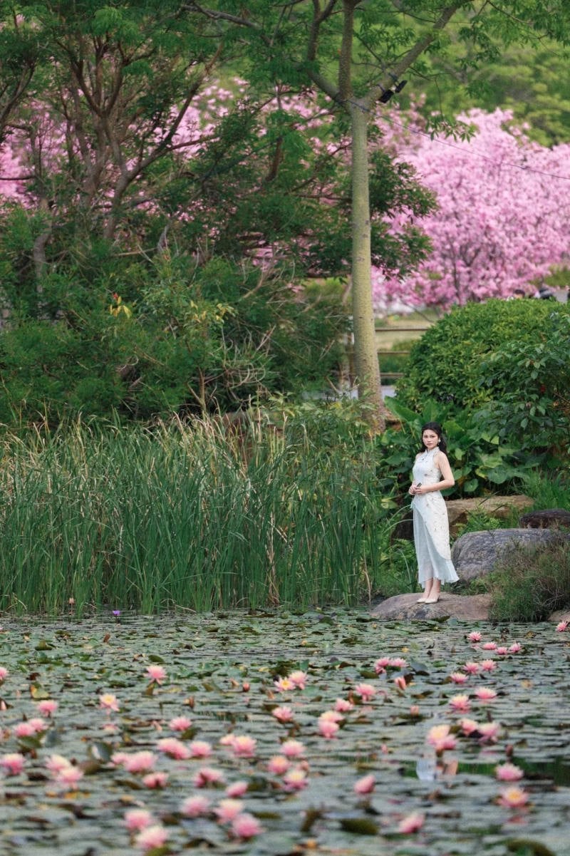 chụp ảnh với hoa súng