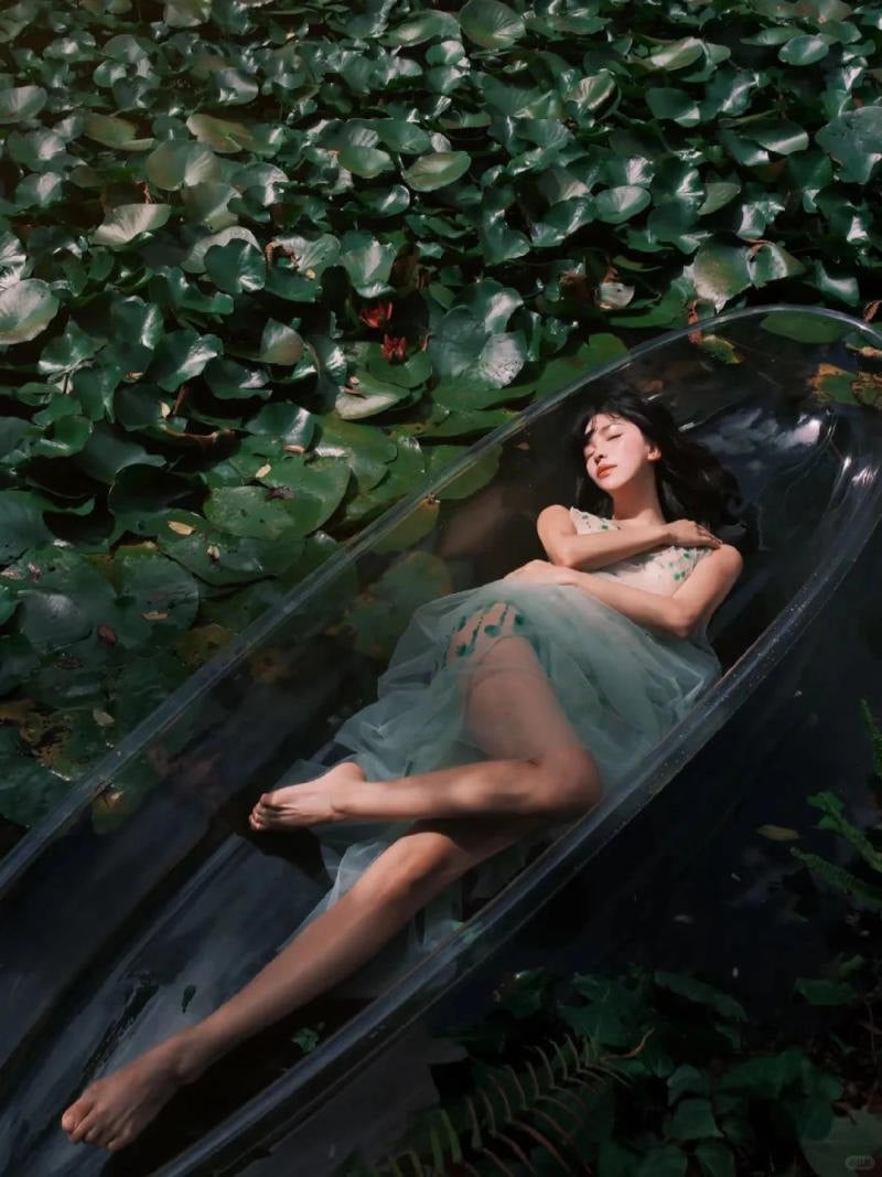 chụp ảnh với hoa súng