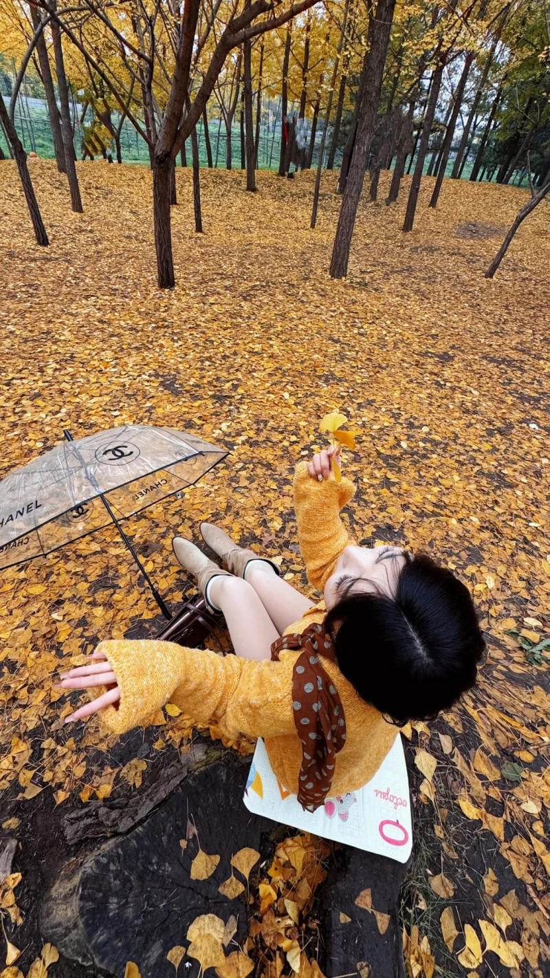 16. Tư thế ngồi giữa thảm lá, tay vươn ra xa