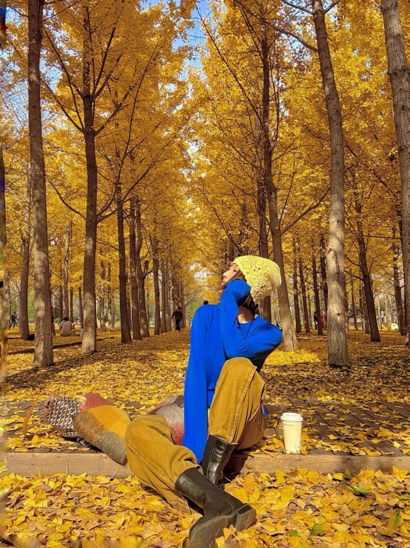 19. Tư thế ngồi giữa rừng cây, ngước nhìn trời cao