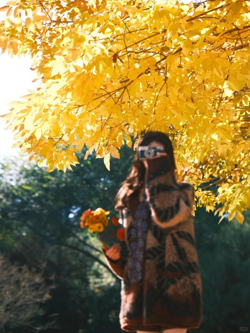 3. Tư thế giơ máy ảnh, chụp lại khoảnh khắc