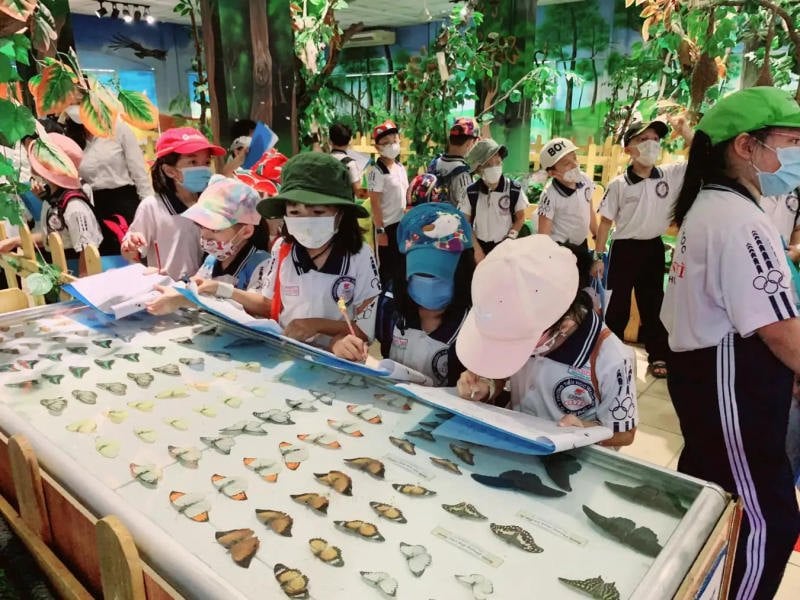 đi đầm sen mặc gì