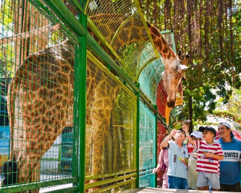 đi đầm sen mặc gì