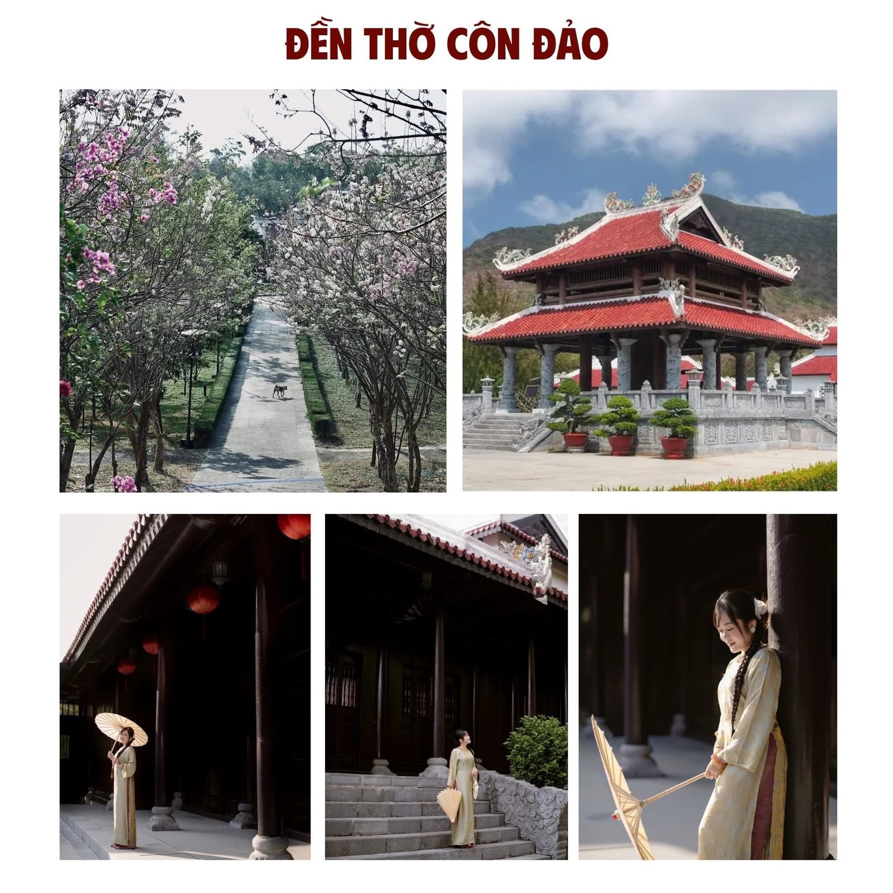 di-con-dao-mac-gi