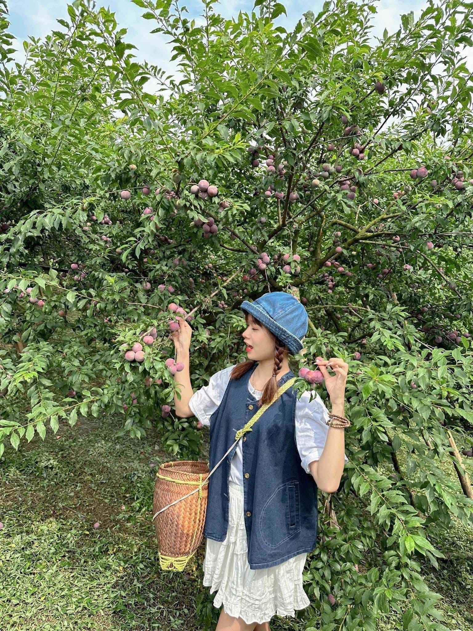 di-moc-chau-mac-gi