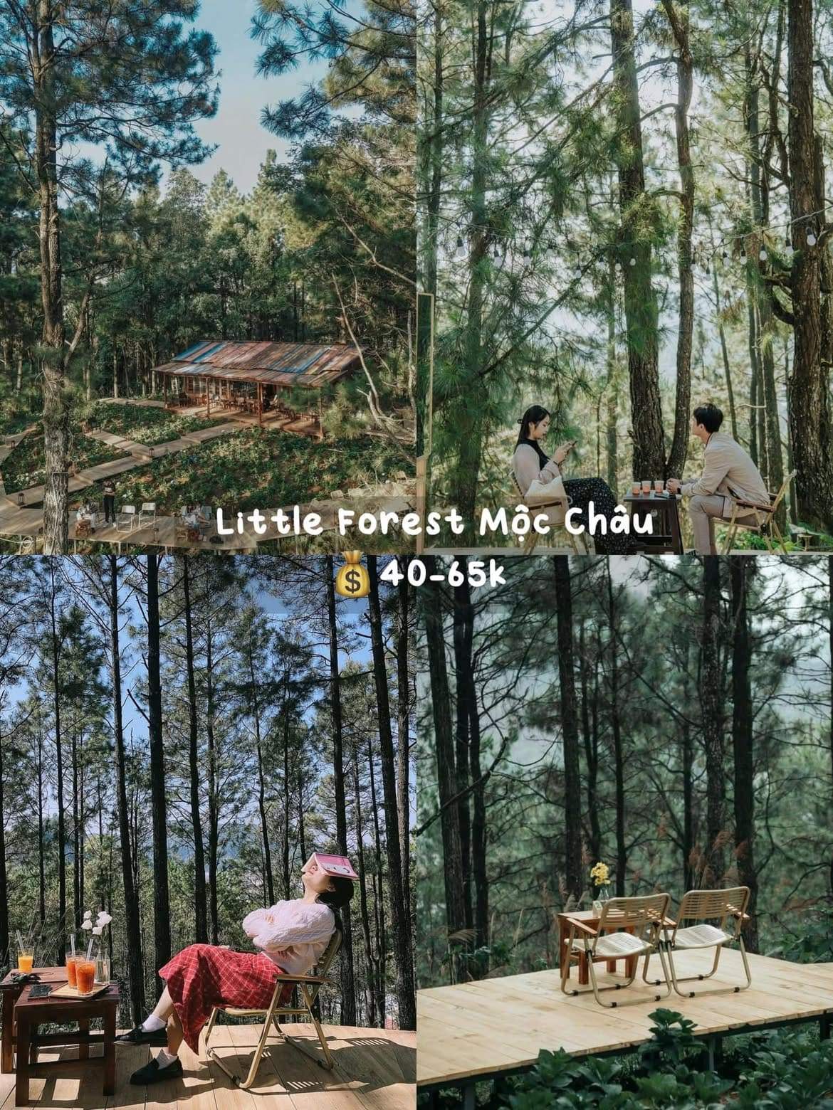 di-moc-chau-mac-gi