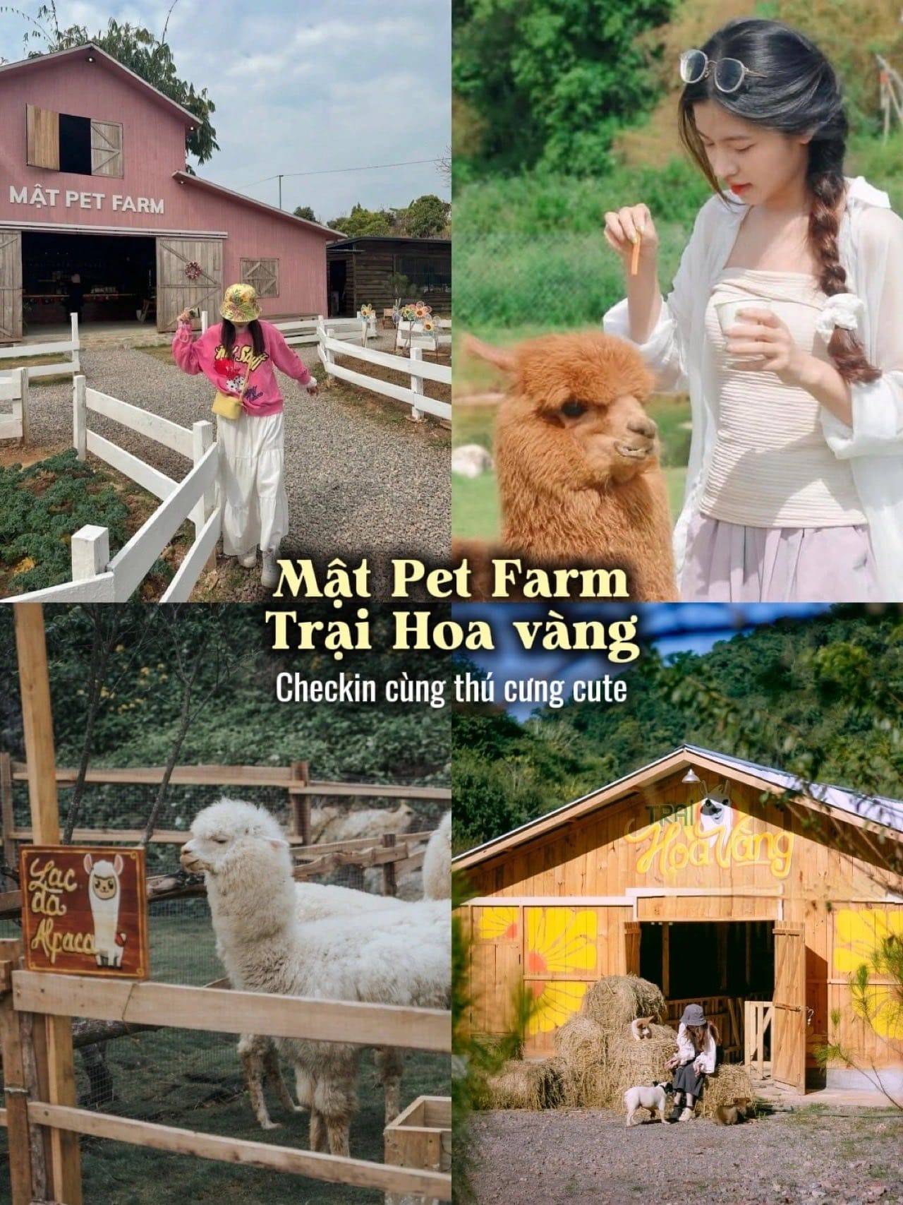 di-moc-chau-mac-gi
