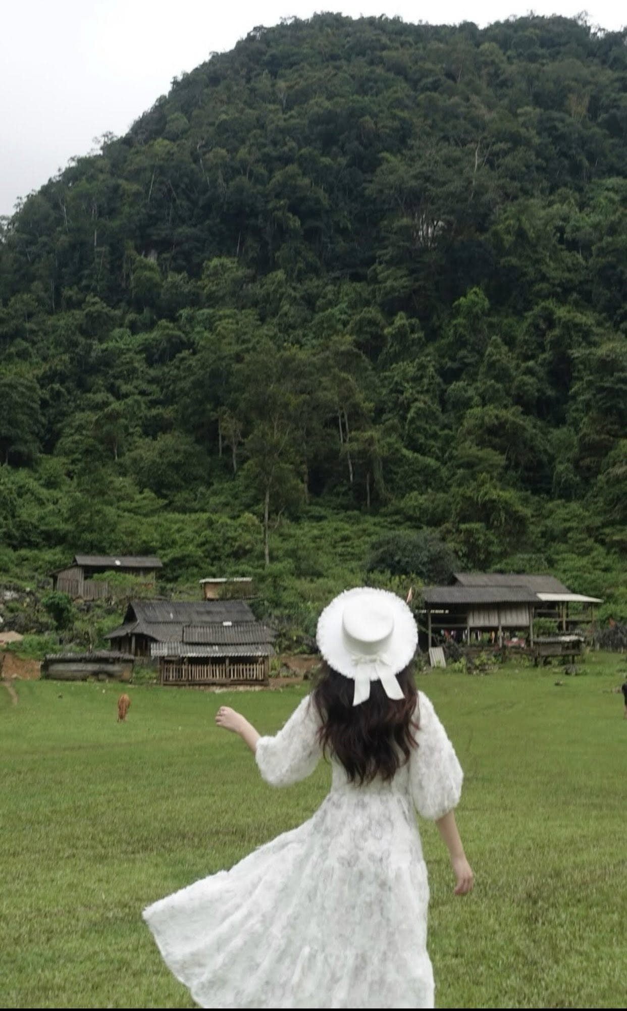 di-moc-chau-mac-gi