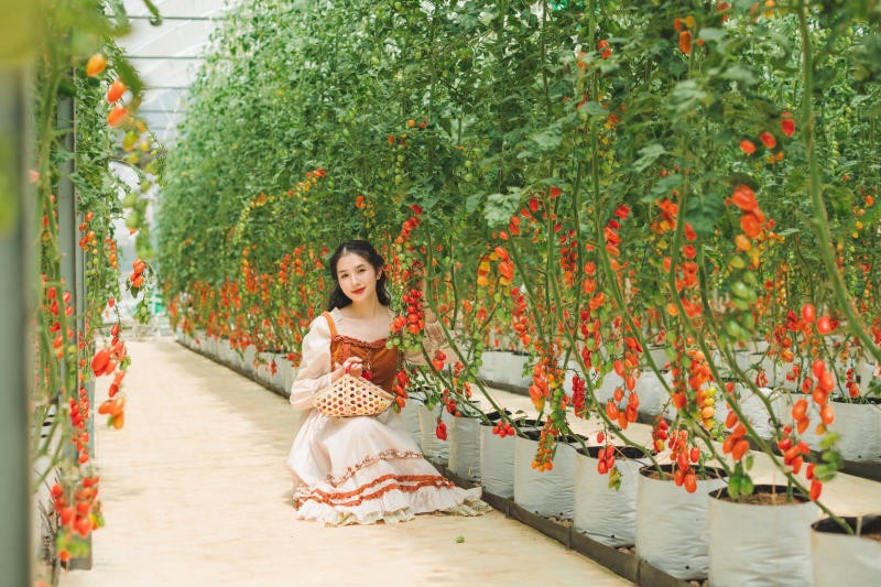 Phong cách bohemian với váy họa tiết thổ cẩm