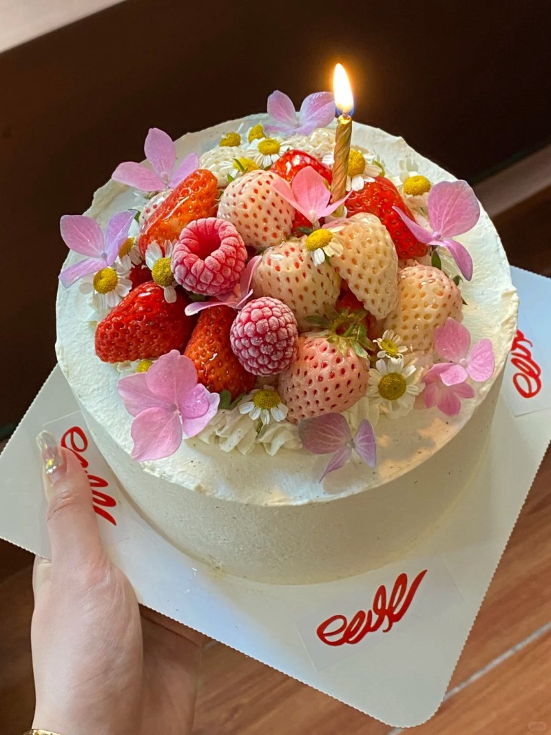 mẫu bánh kem 20 10