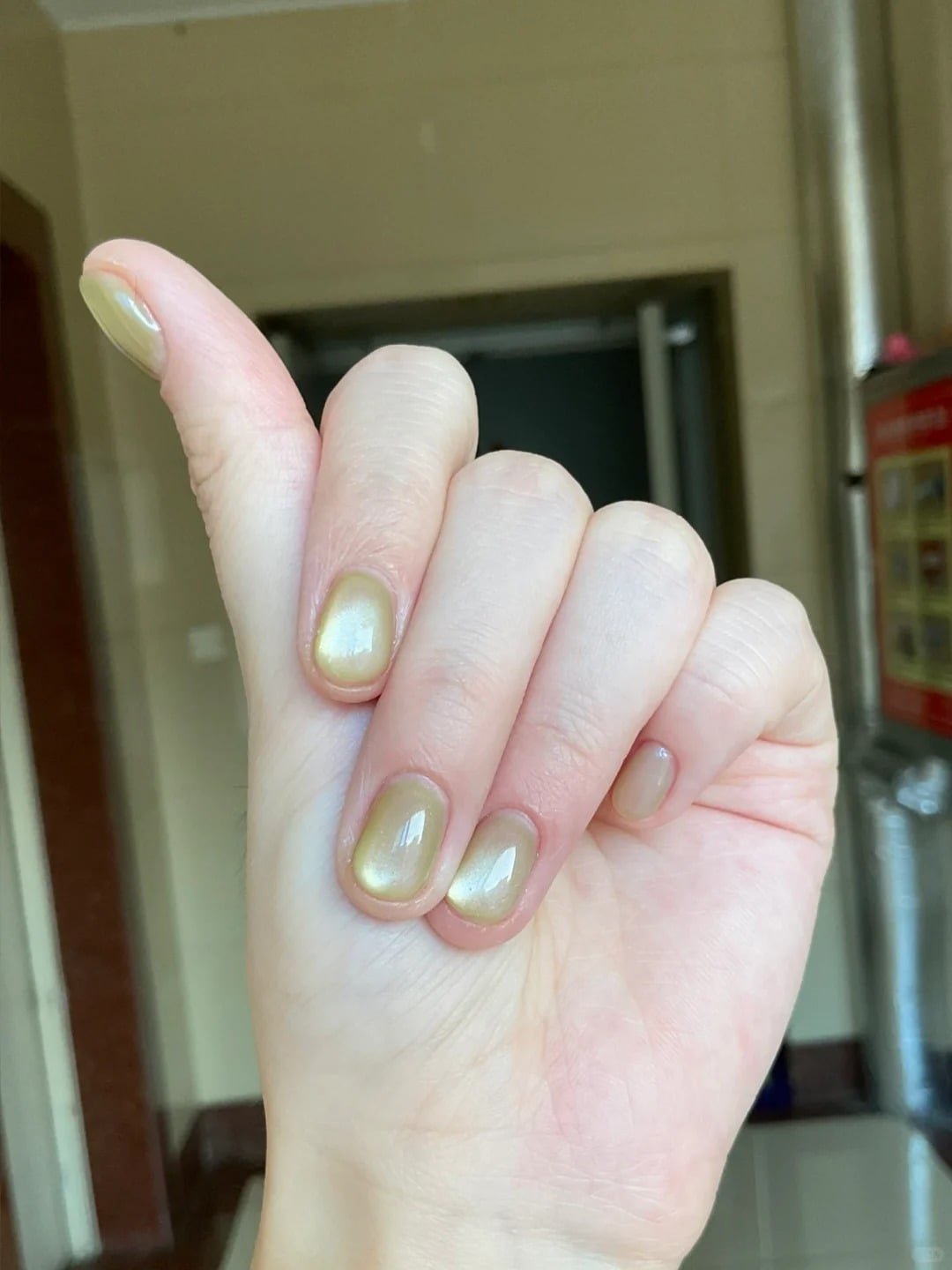 mẫu nail mắt mèo