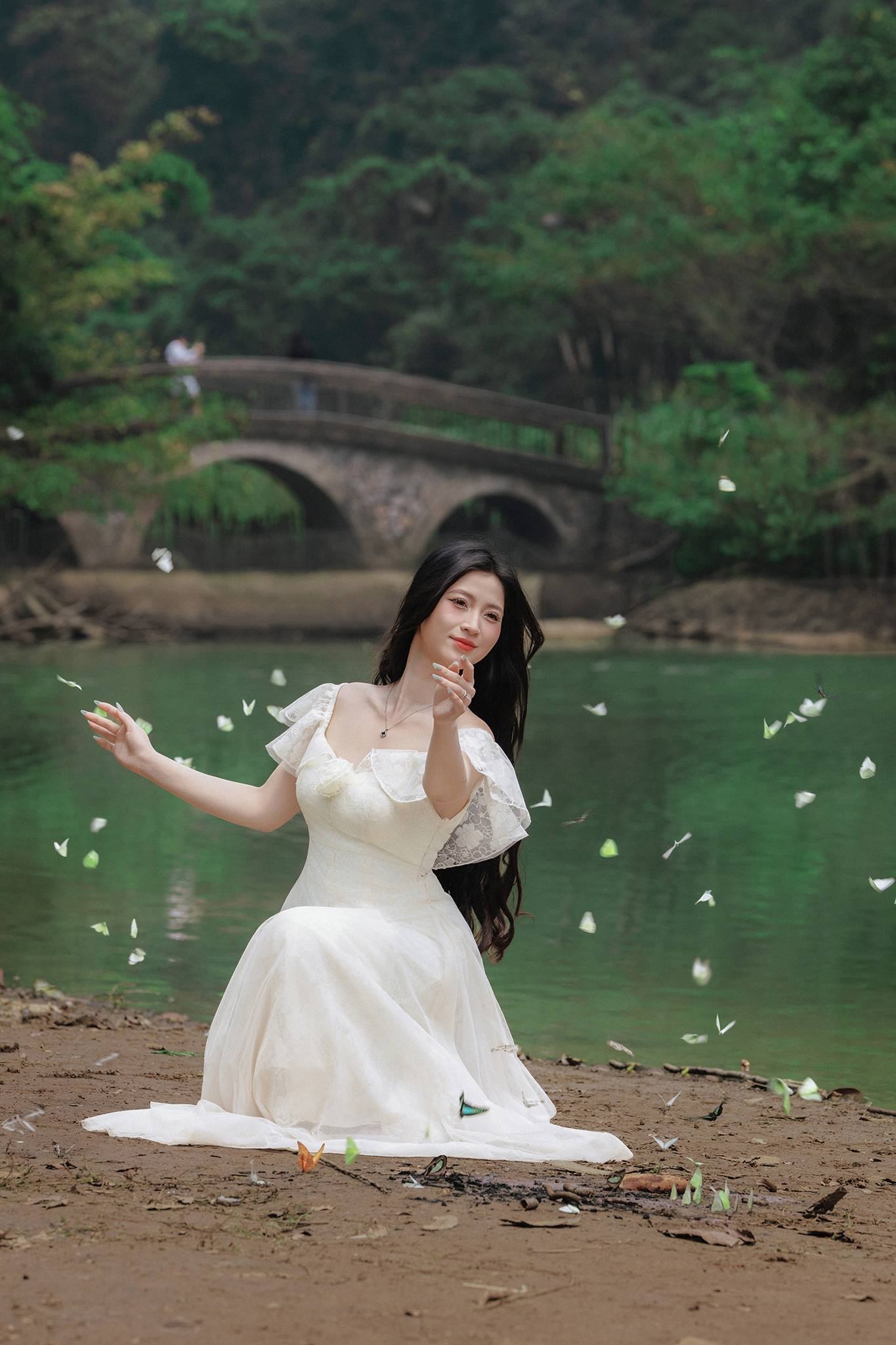 mùa bướm cúc phương