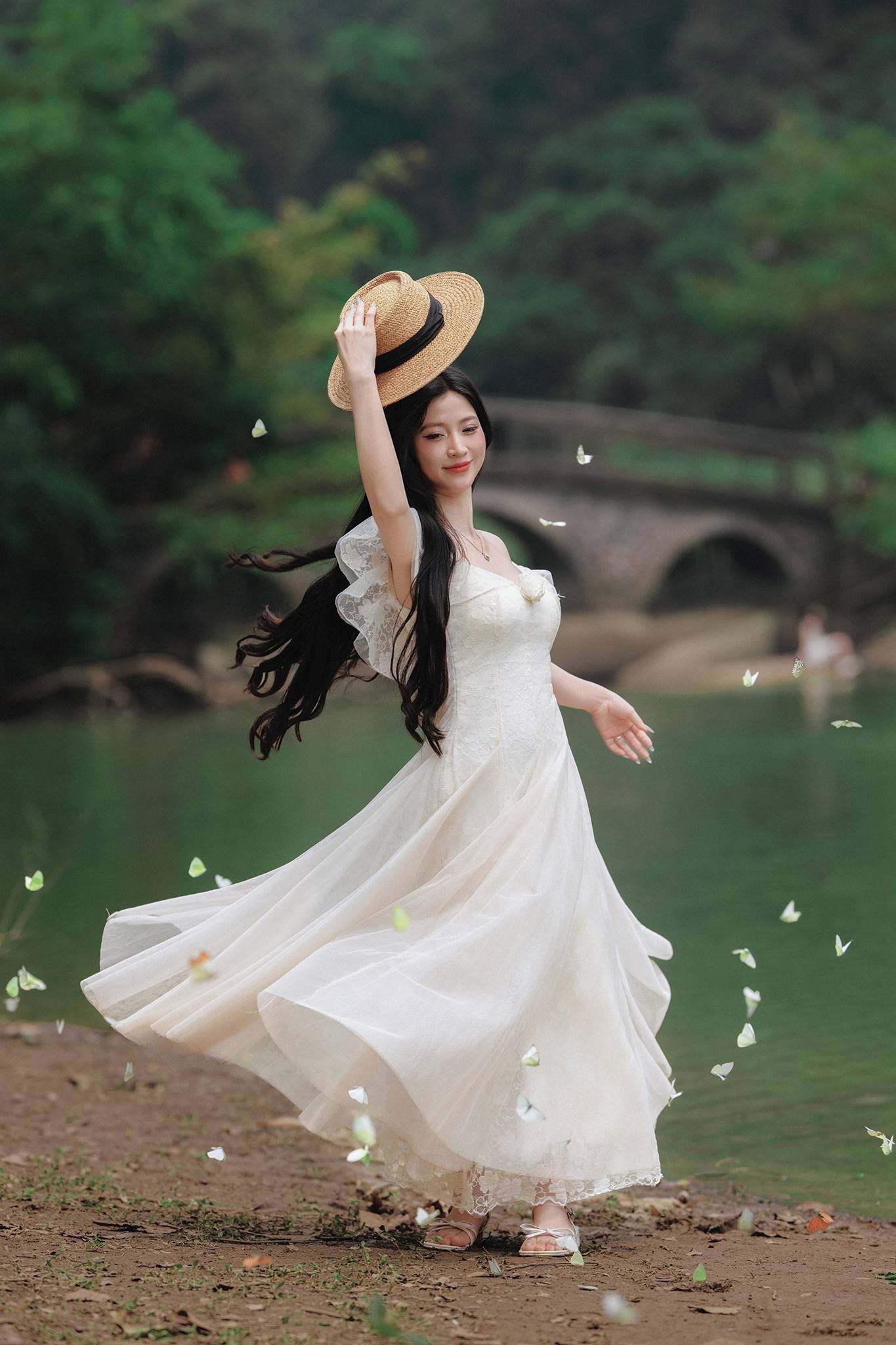 mùa bướm cúc phương