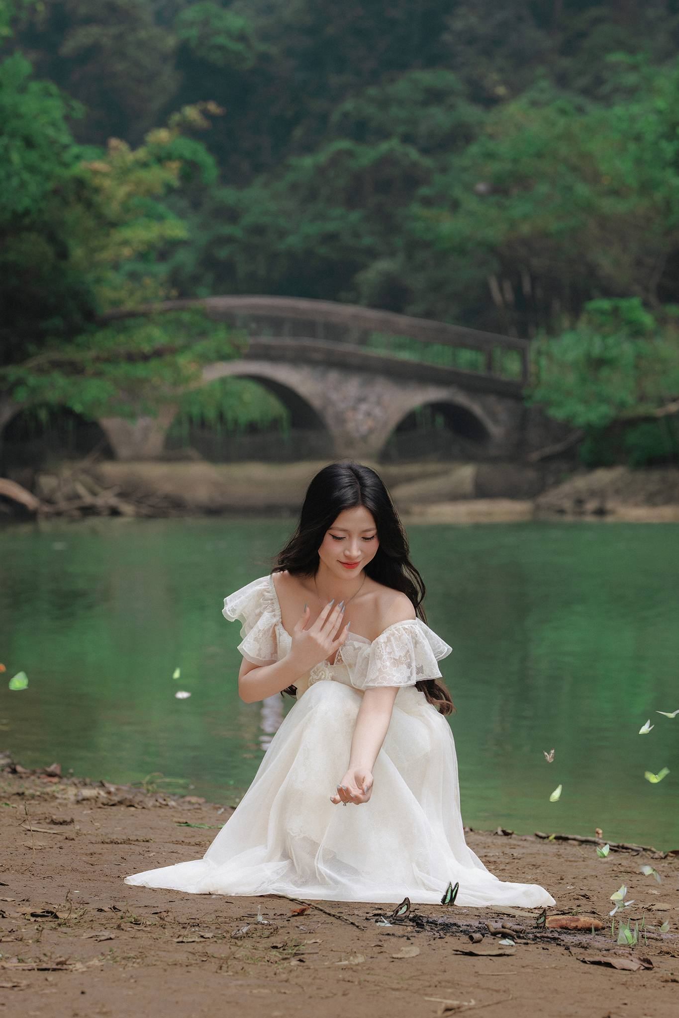 mùa bướm cúc phương