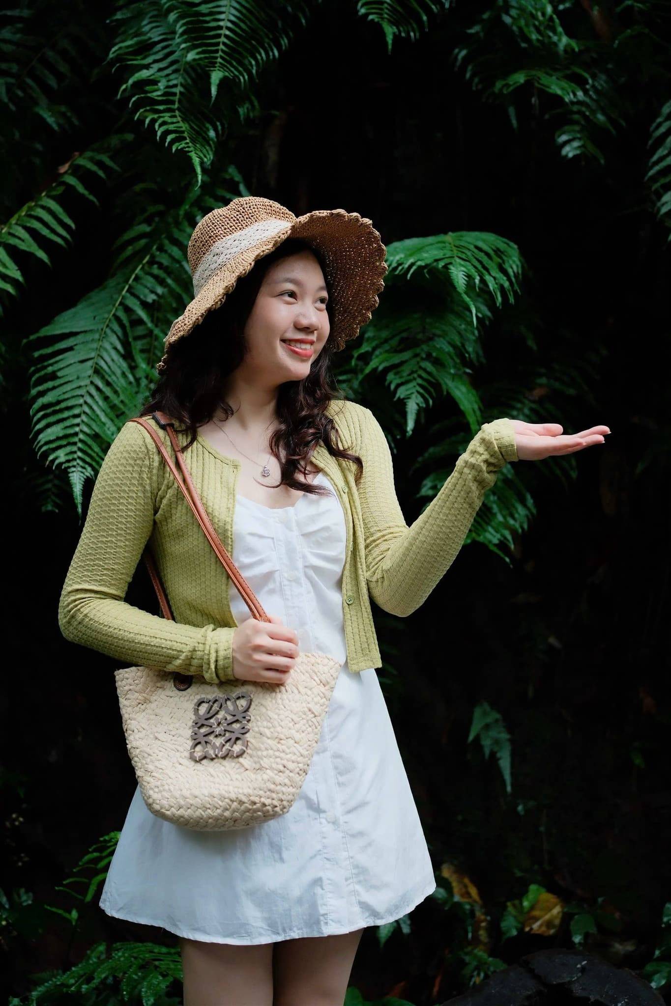 mùa bướm cúc phương