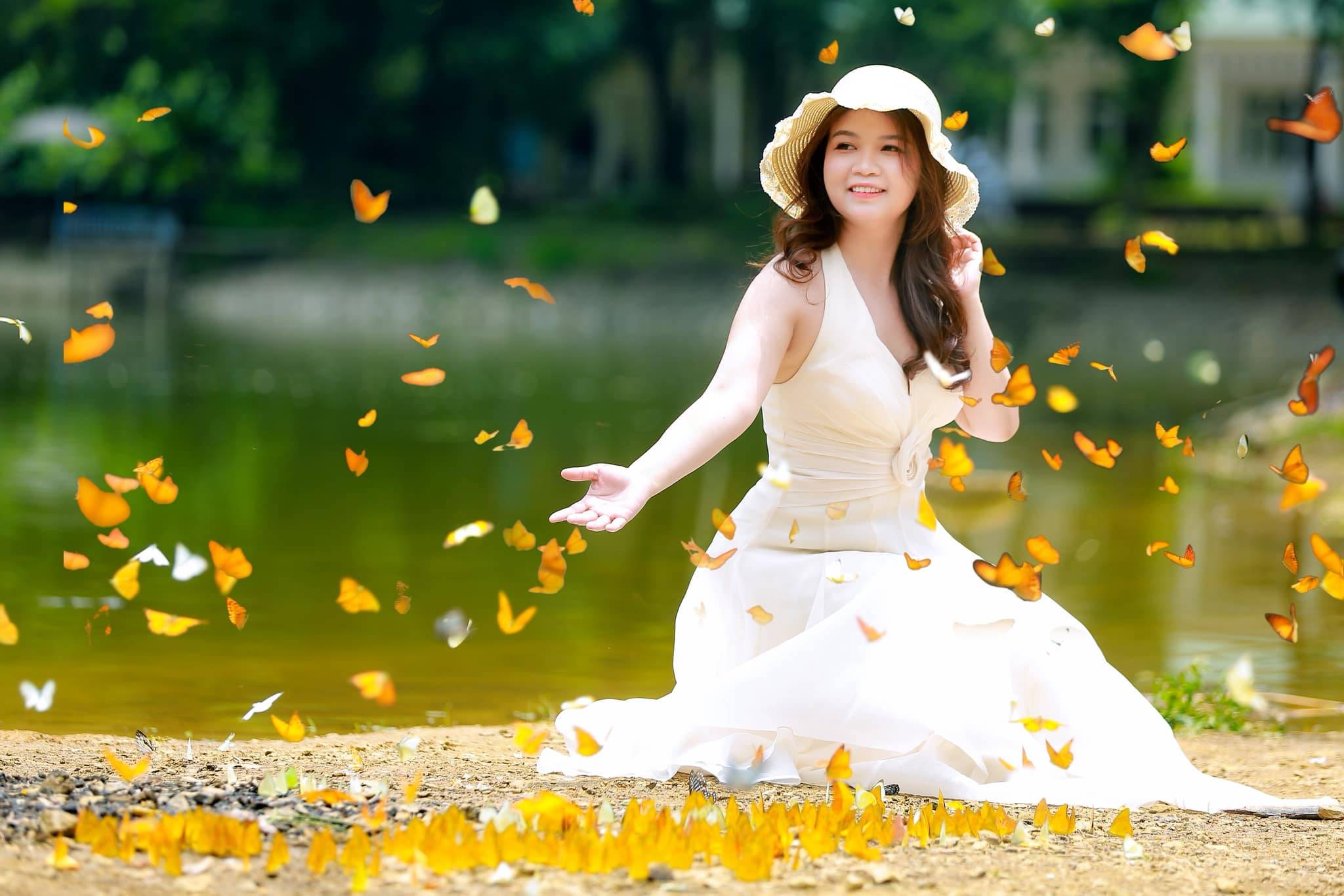 mùa bướm cúc phương