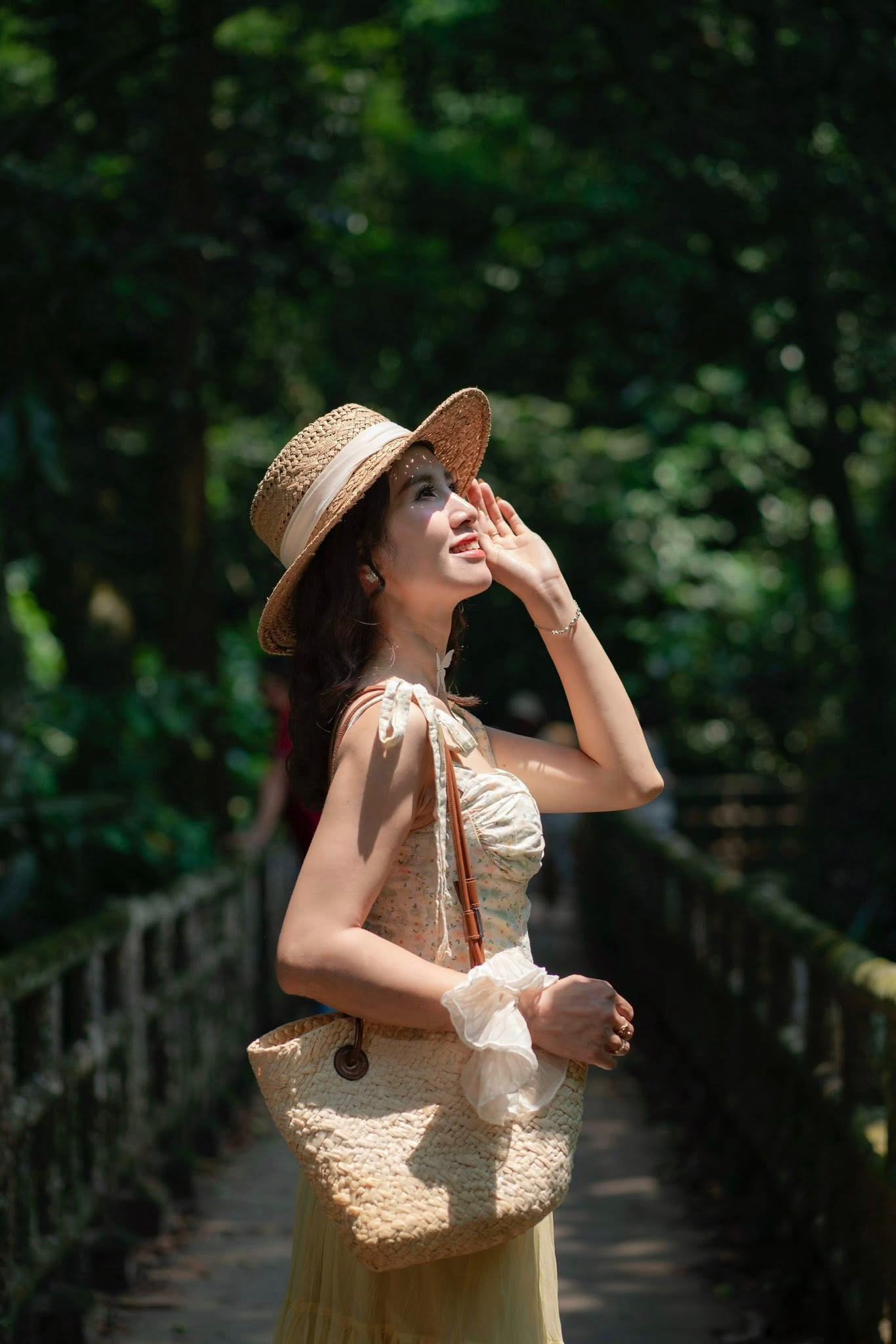mùa bướm cúc phương