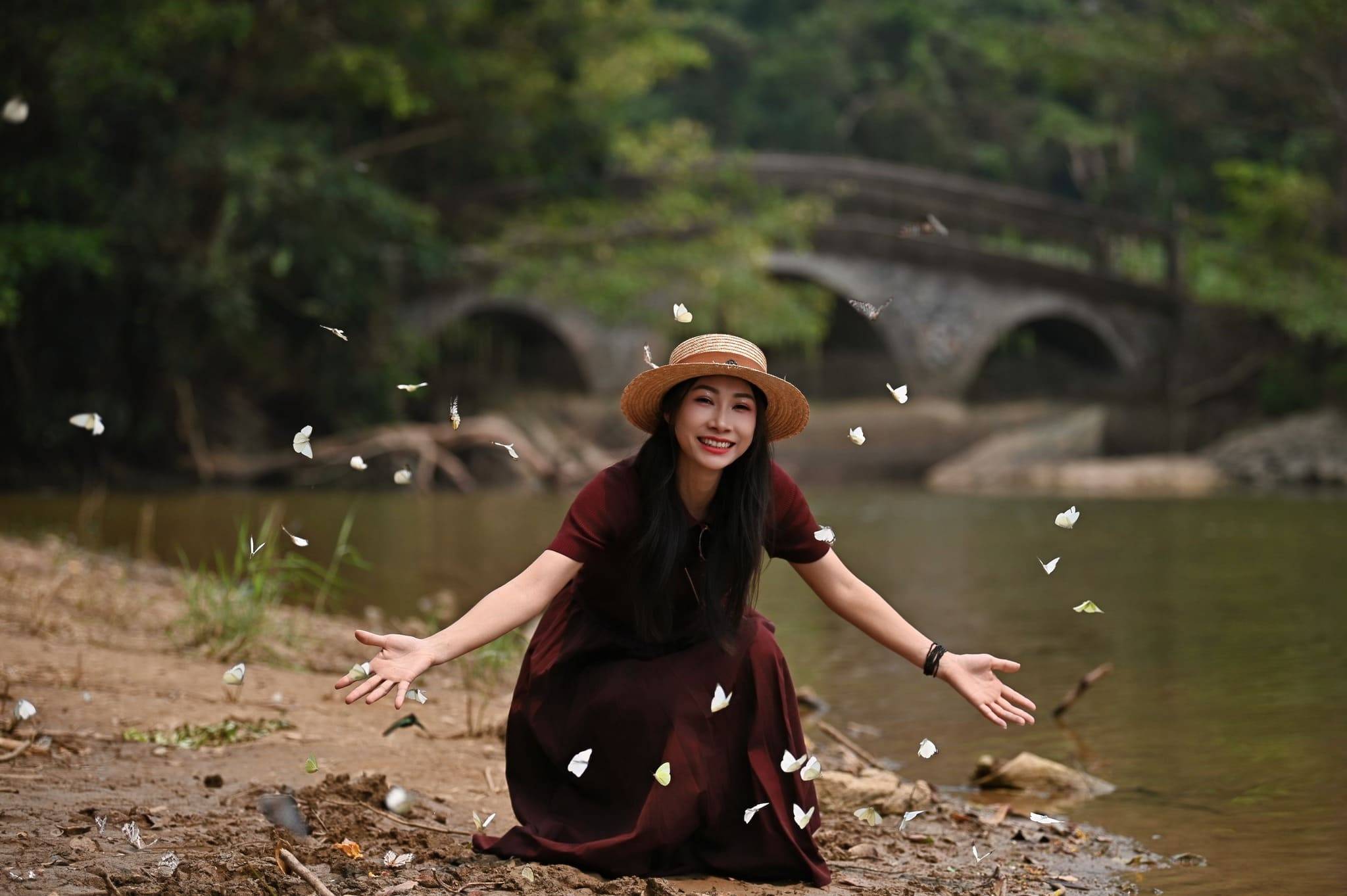 mùa bướm cúc phương