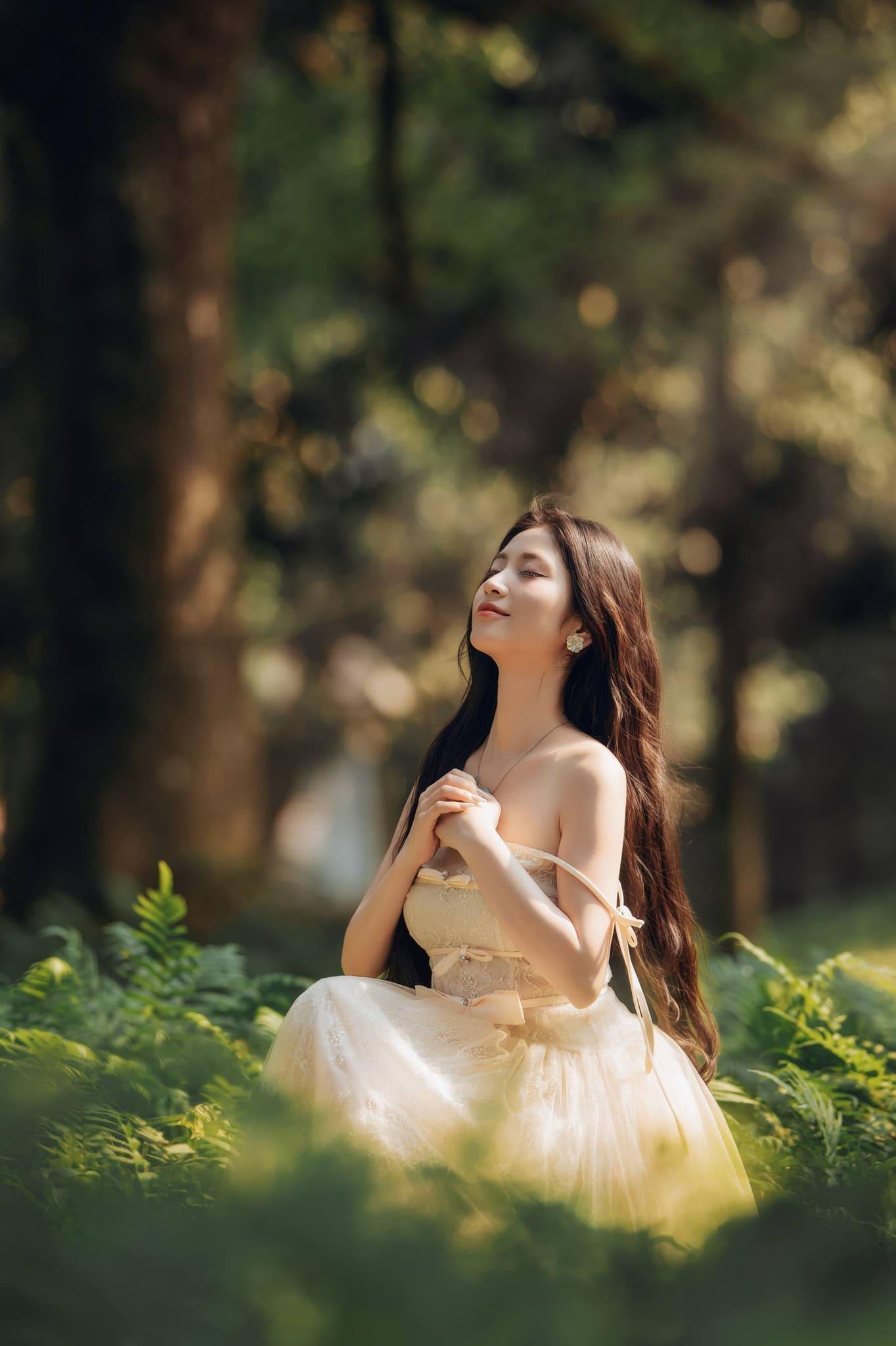 mùa bướm cúc phương