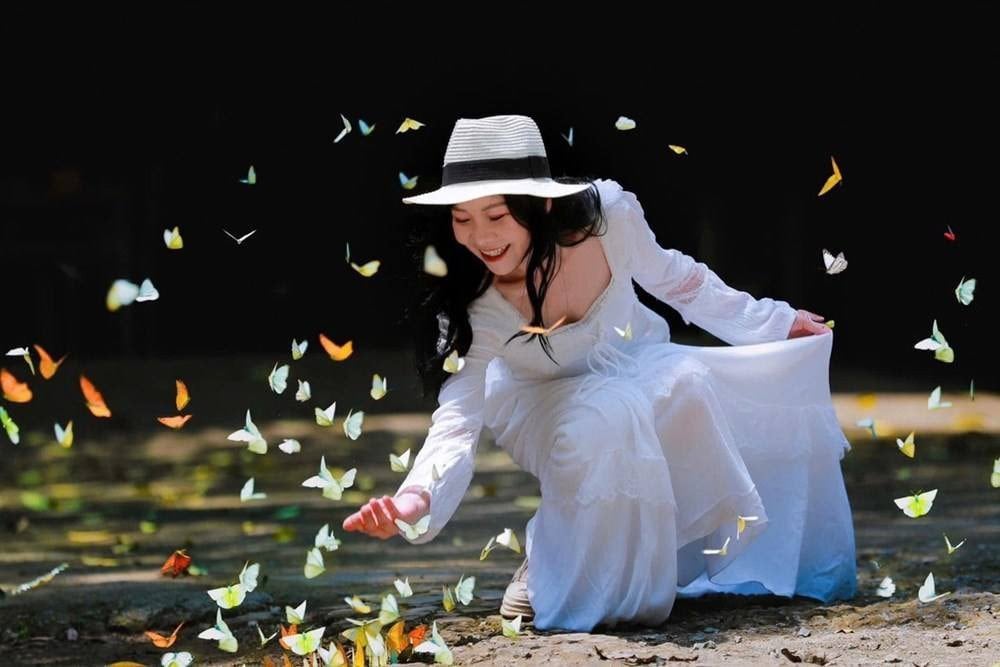 mùa bướm cúc phương