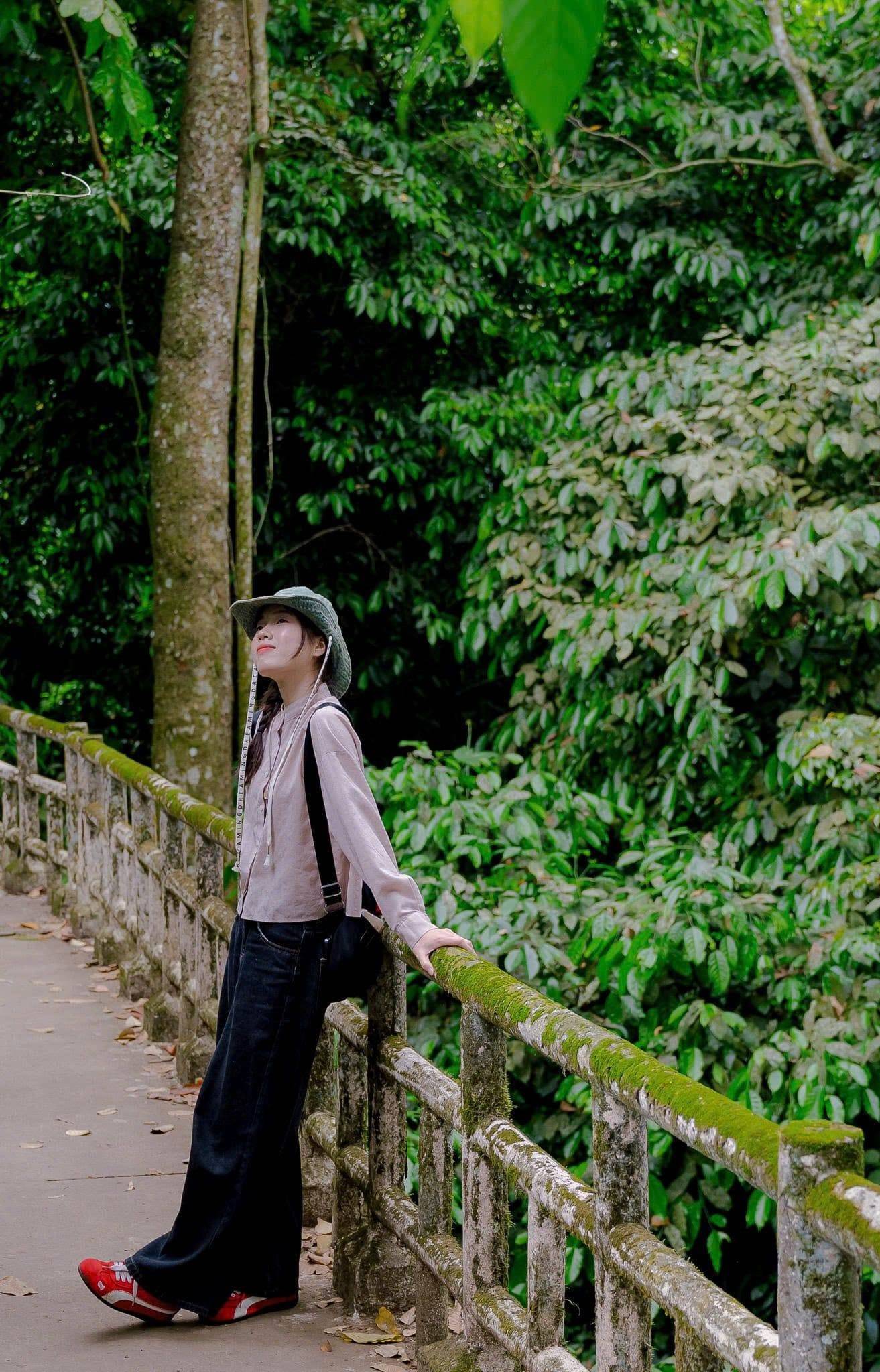 mùa bướm cúc phương