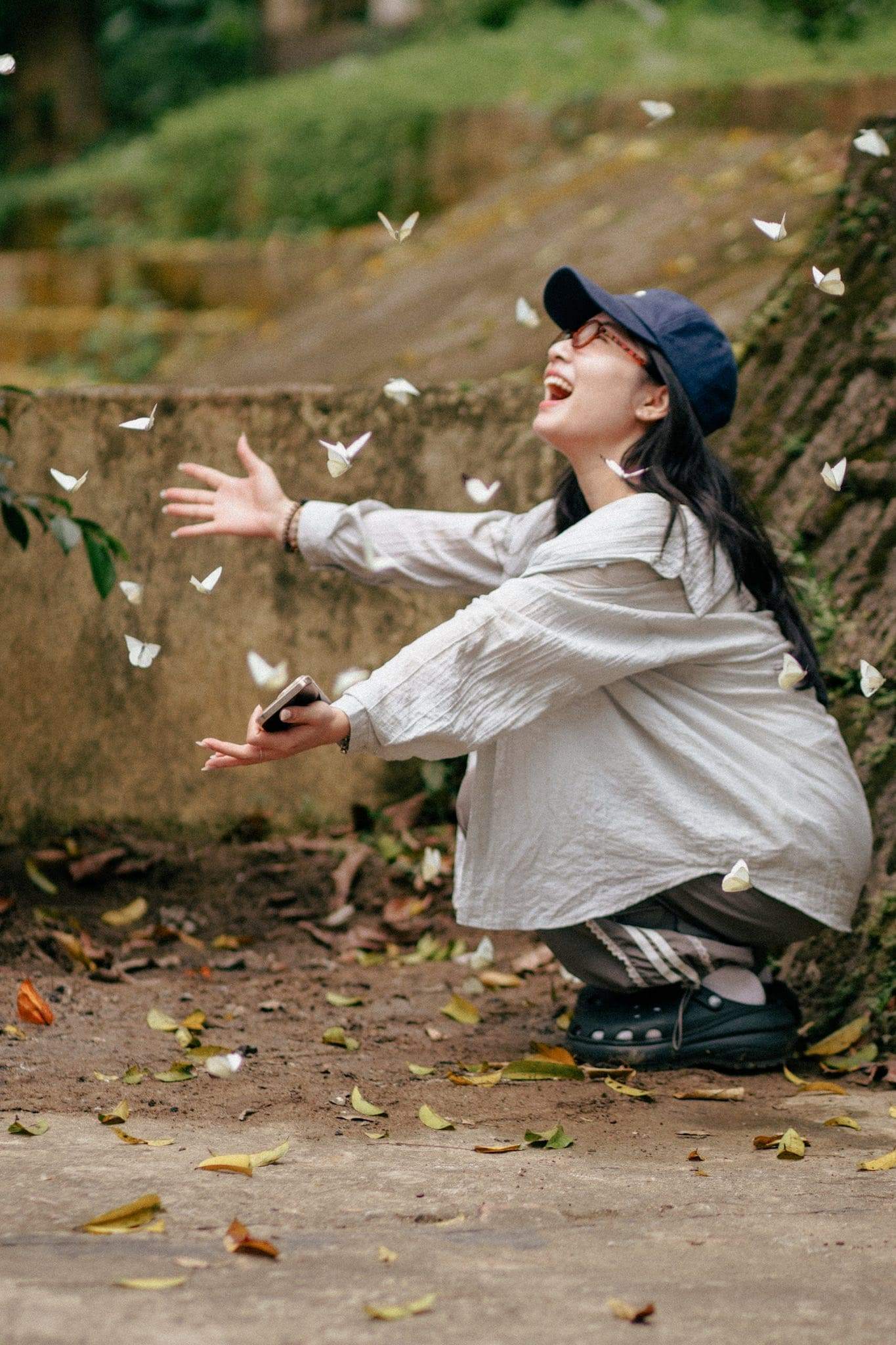 mùa bướm cúc phương