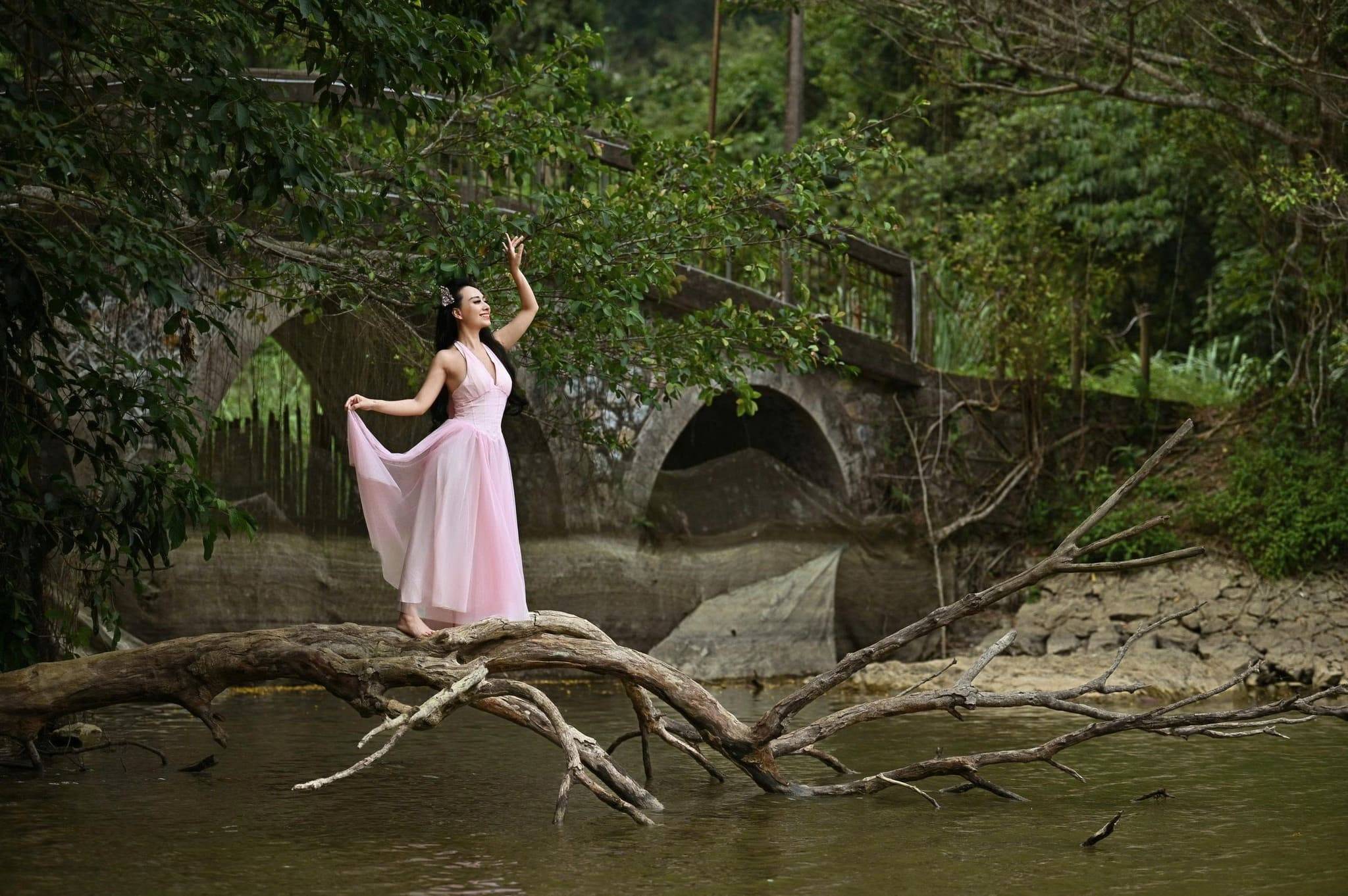mùa bướm cúc phương