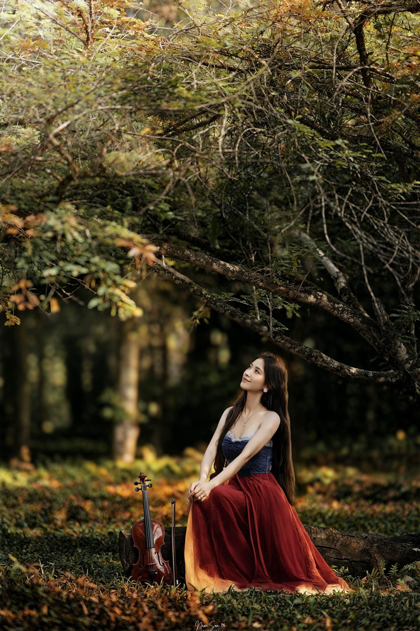 mùa bướm cúc phương