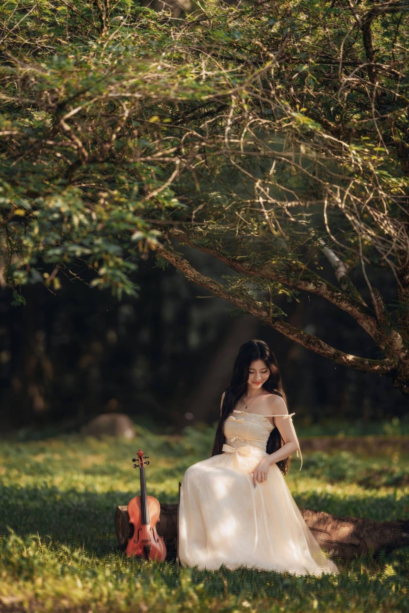 mùa bướm cúc phương