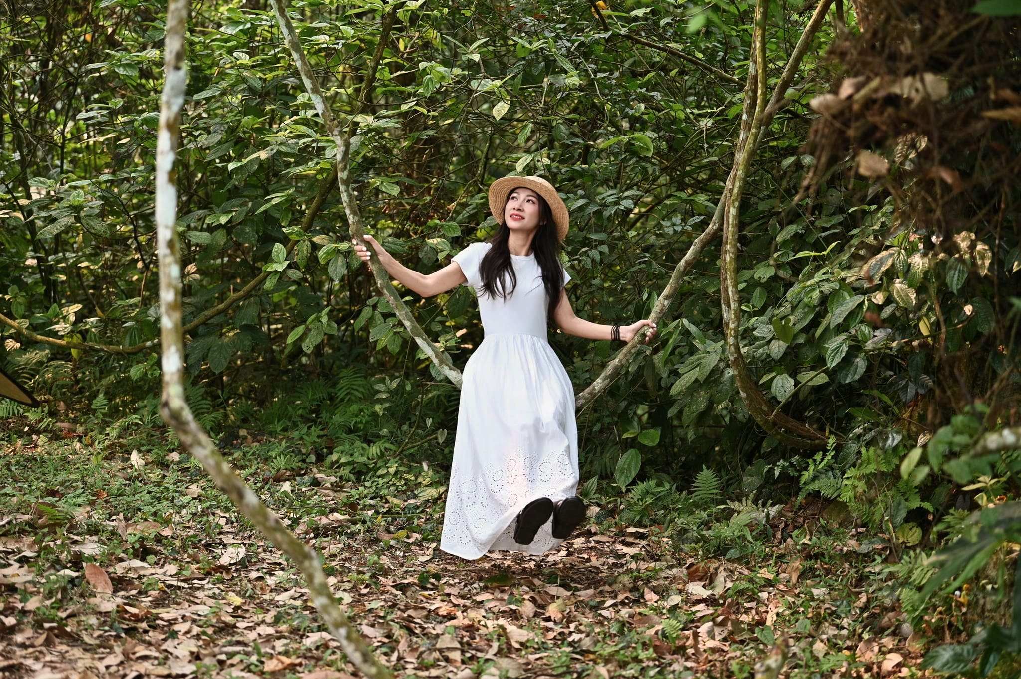 mùa bướm cúc phương