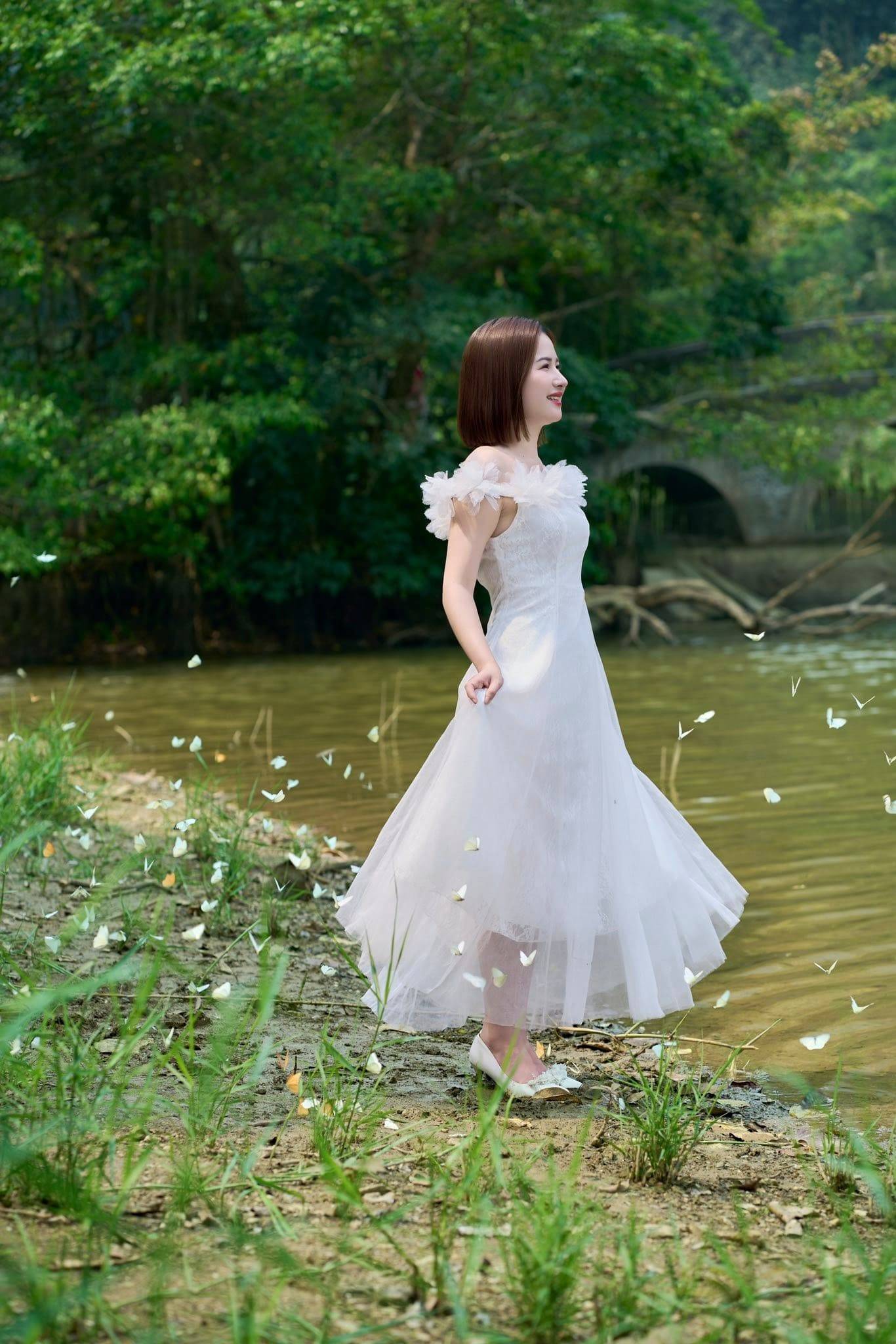 mùa bướm cúc phương