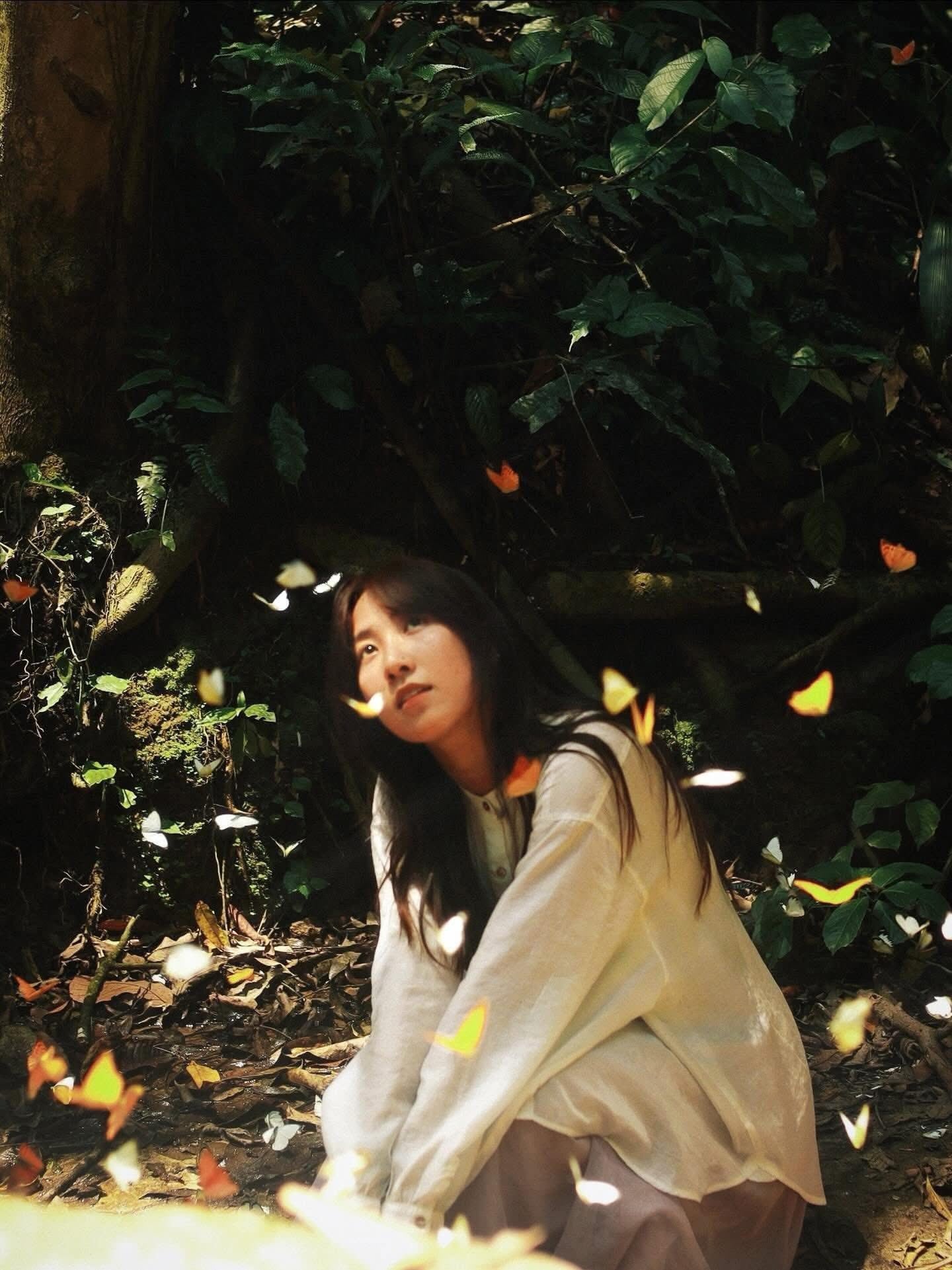mùa bướm cúc phương