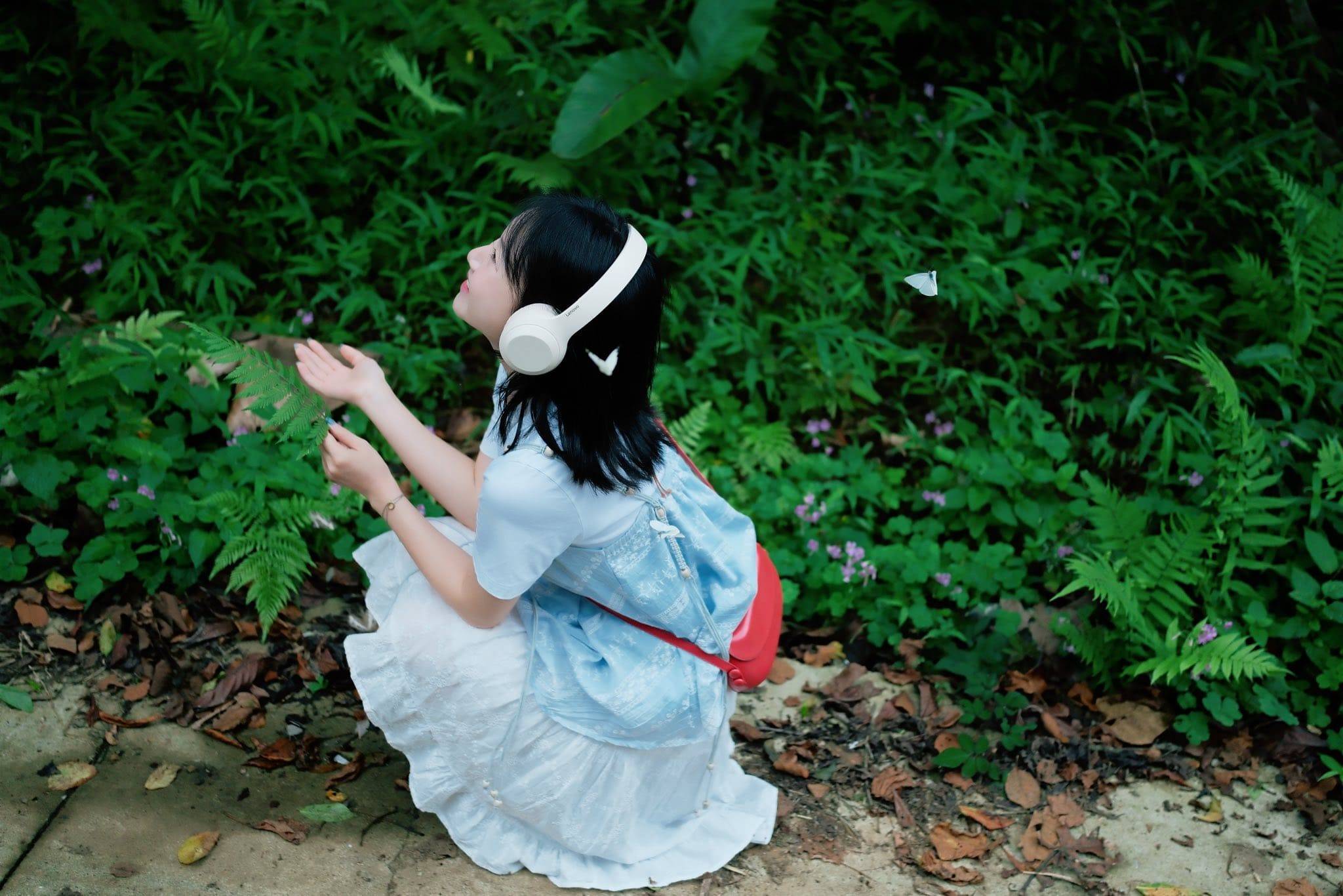 mùa bướm cúc phương