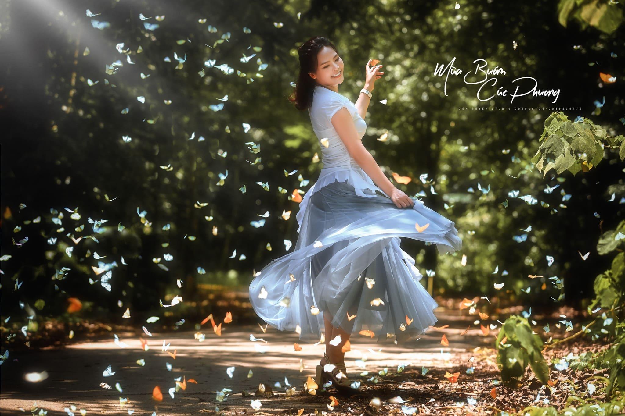 mùa bướm cúc phương