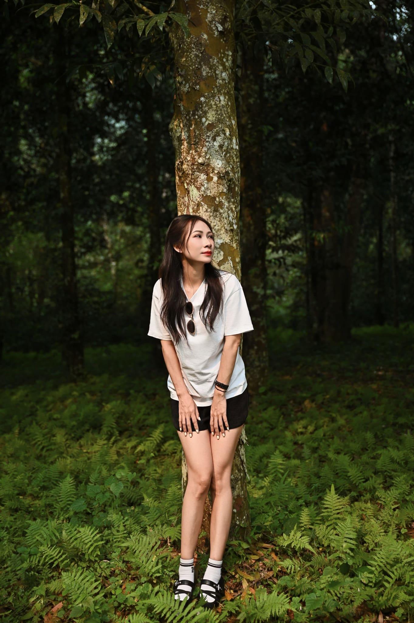 mùa bướm cúc phương