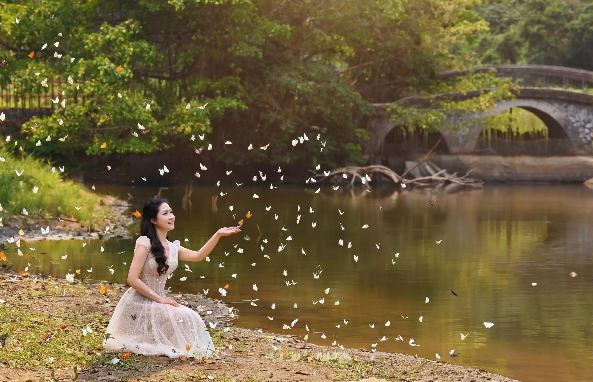 mùa bướm cúc phương