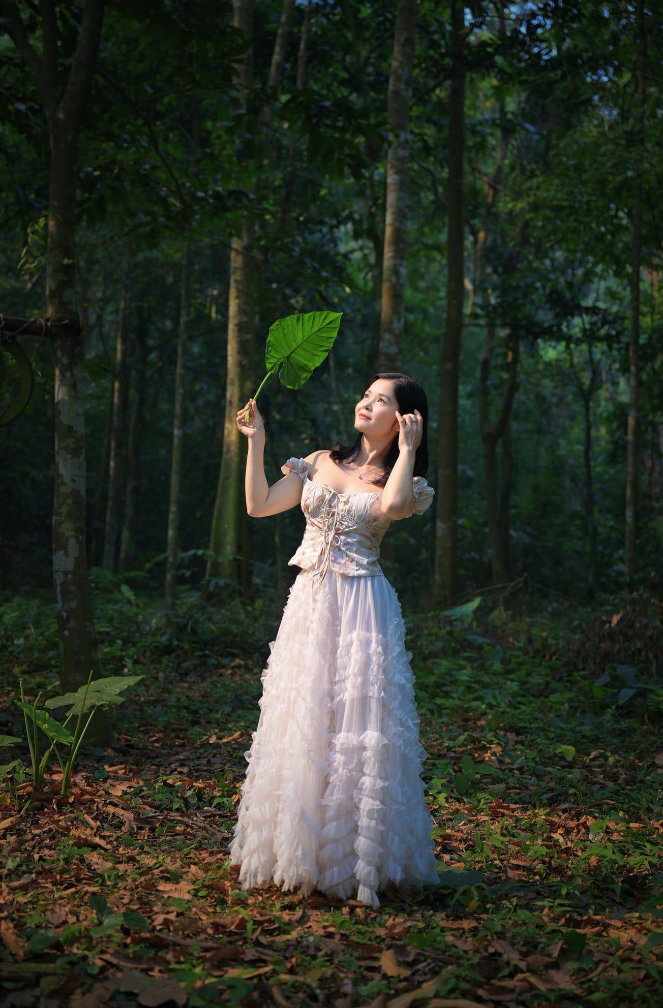 mùa bướm cúc phương